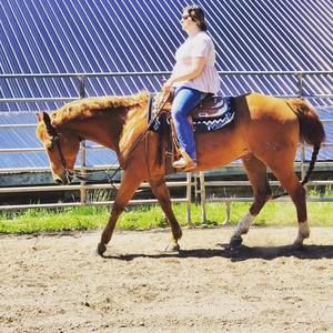 Meet your Posher, Kait